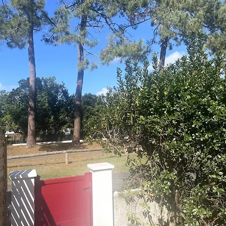 Feriehus Magnifique Maison Neuve Entre Pins Et Ocean *