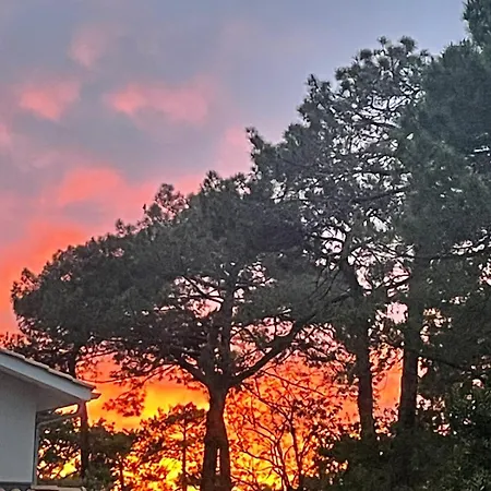 Magnifique Maison Neuve Entre Pins Et Ocean Feriehus