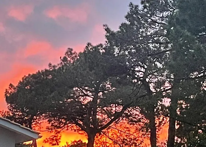 Magnifique Maison Neuve Entre Pins Et Ocean 別荘